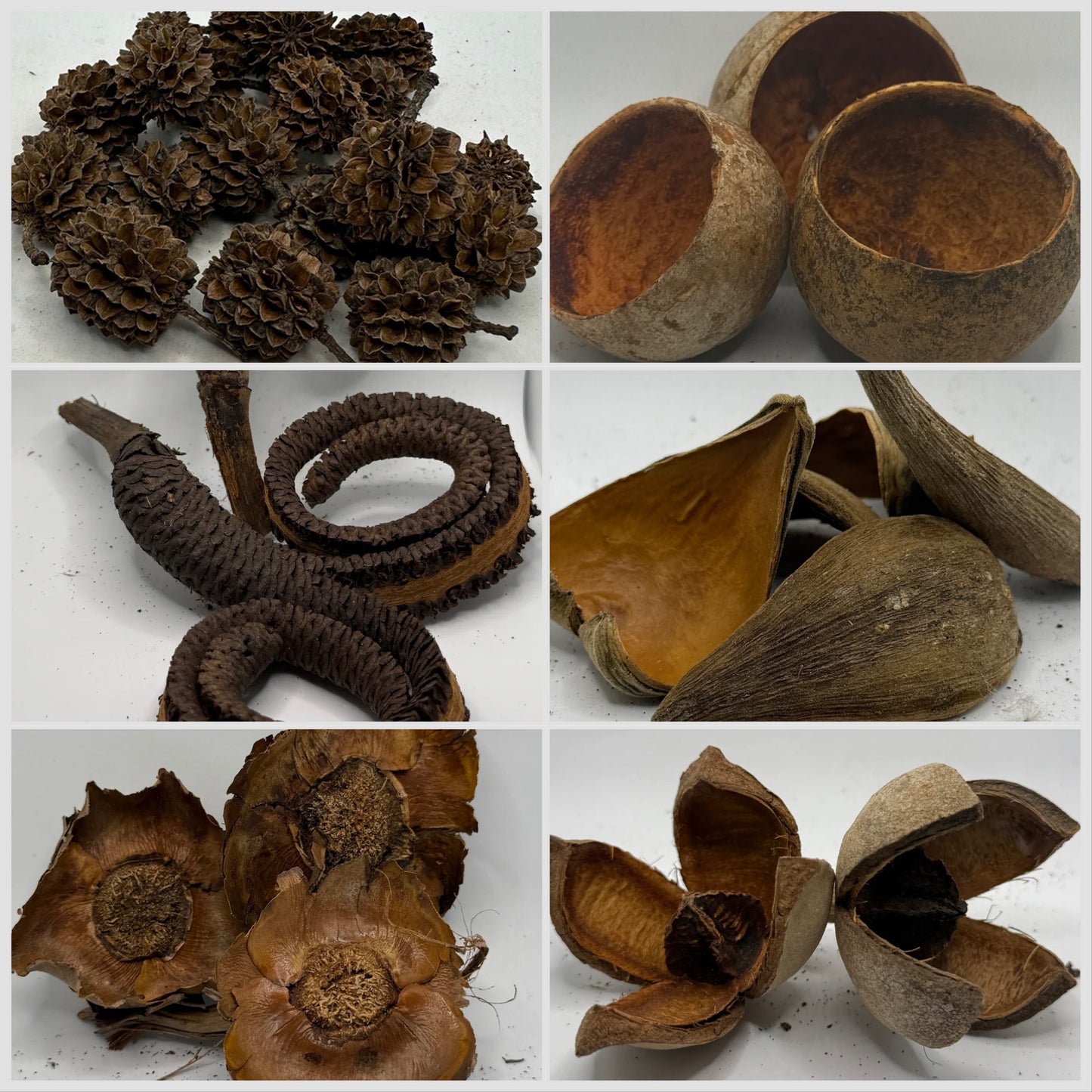 Mixed Botanical Pack