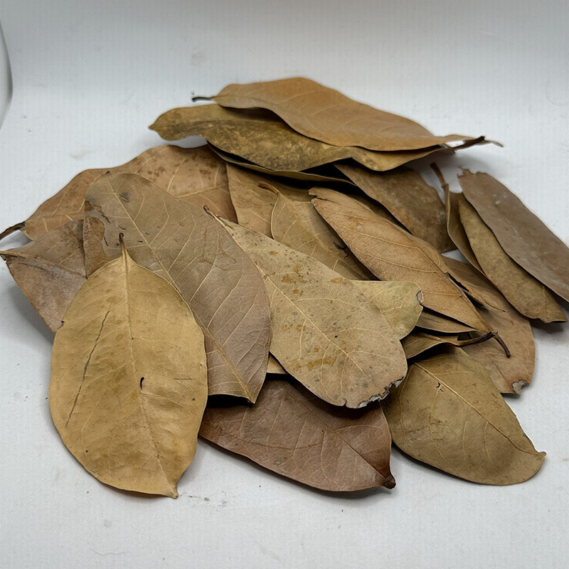 Khaya Leaves