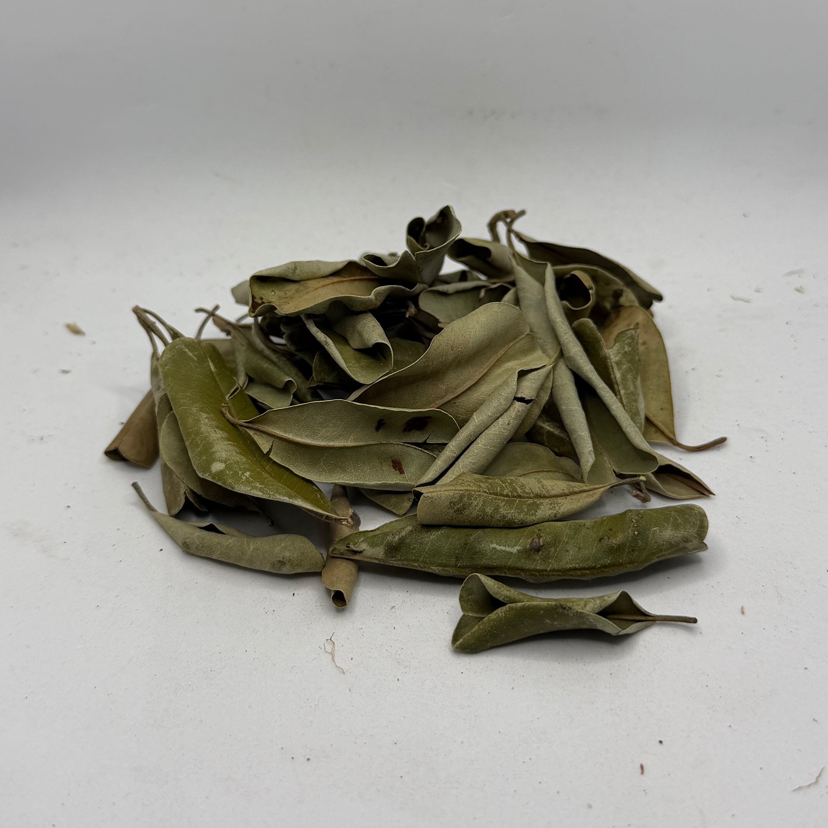 Botanicals – Daku Aquatics