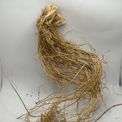 Sevendara Root