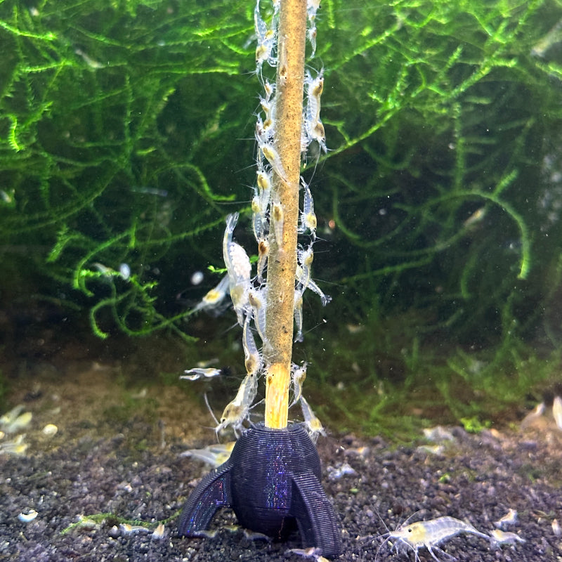 Daku Aquatics Shrimp Sticks